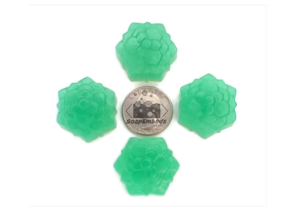 Succulent Hex Small Soap Embeds